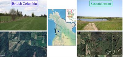 Context-specific “silver-spoon” effects of wetlands, climate, and temperature on lifetime fitness in a short-lived temperate-breeding migratory songbird